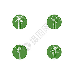 甘蔗标志模板矢量符号集叶子插图绿色果汁贴纸颗粒状标签横幅食物标识图片