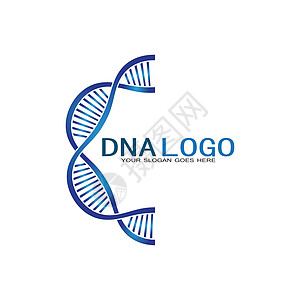 Dna 矢量标志设计模板 现代医学标识 实验室科学图标符号 彩色药理学标志vecto基因生活染色体螺旋代码技术研究生物学插图身份图片