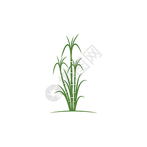 甘蔗 Logo 模板矢量符号叶子插图绿色收成食物颗粒状标识果汁植物热带图片