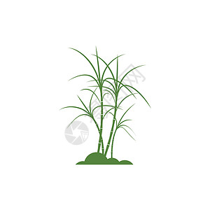 男装logo甘蔗 Logo 模板矢量符号食物收成横幅棕榈绿色生物果汁标识标签热带插画