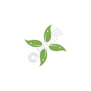 桉树叶标志矢量模板插图防腐剂草药绿色标识桉树植物生态植物学叶子背景图片