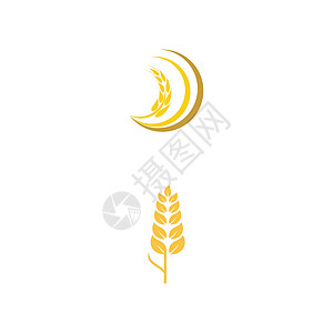 小麦 Logo 模板矢量符号粮食种子标识植物食物营养面包农业生长农场背景图片