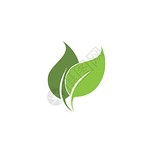 绿色树叶生态自然元素的标志回收艺术公司平衡生物品牌生长企业推广环境背景图片