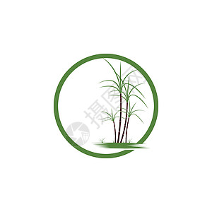 甘蔗 Logo 模板矢量符号颗粒状叶子绿色棕榈横幅标识标签生物热带贴纸图片