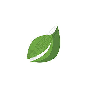 叶标志模板矢量符号生态绿色生物生长环境叶子植物插图装饰品背景图片