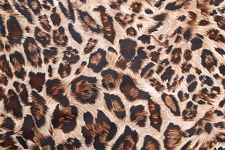 具有豹纹纹理的抽象野生动物老虎动物打印异国斑点棉布织物条纹猎豹图片