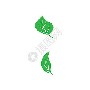 素食主义者标志模板矢量符号标识菜单生态绿色餐厅食物商业健康圆圈叶子背景图片