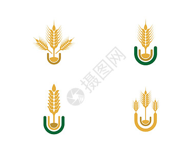小麦矢量图标它制作图案质量横幅营养谷物金子农场耳朵生长玉米市场图片