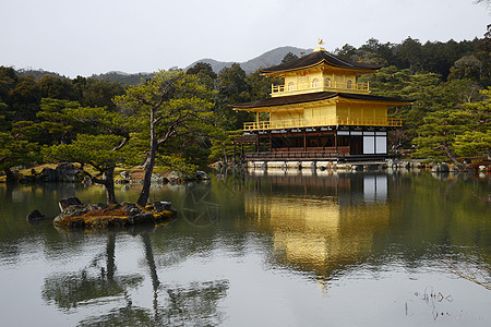 京都金金锦菊文化花园亭子旅行建筑佛教徒旅游建筑学纪念碑寺庙图片