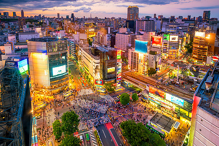 从东京的顶端观点跨越涉谷建筑物建筑商业购物建筑学城市场景行人正方形广告牌图片