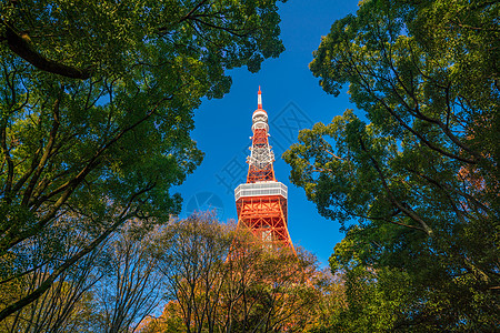 日本有蓝天的东京塔正方形电讯都市公园旅行观光天空游客景观红色图片