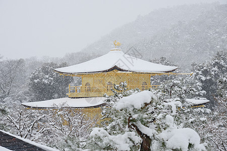 京角寺雪历史寺庙建筑天气金子花园旅行天空旅游蓝色图片