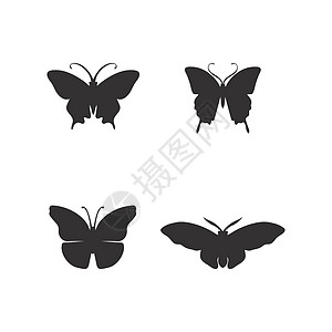 矢量蝴蝶概念简单彩色图标标志矢量动物昆虫身体化妆品标识温泉飞行商业翅膀头发女士卫生图片