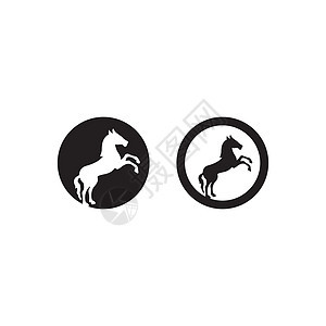飞马矢量标志模板矢量插图设计飞行徽章传奇神话艺术动物荒野翅膀野马商业图片