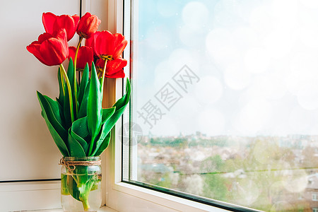 花瓶中的红色郁金香 在窗台上亮明 乡村风格 阳光下 复活节装饰的花束以开放背景薄雾静物窗户花朵植物礼物季节投标阴影叶子图片
