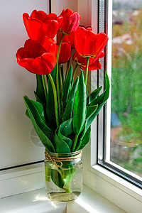 花瓶中的红色郁金香 在窗台上亮明 乡村风格 阳光下 复活节装饰的花束以开放背景静物植物投标薄雾叶子花朵窗户玻璃阴影礼物图片