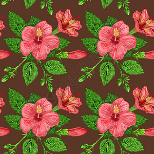 芙蓉植物无缝图案的插图背景上植物的花朵和叶子问候语装饰打印生态装饰品植物学墙纸花园织物草本植物图片