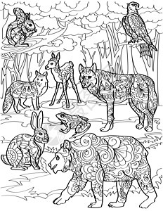 不同的森林生物鹿狐狼熊兔与树背景线条画 多种野生动物鹰蛙在丛林背景着色书页图片