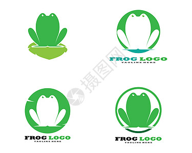 青蛙标志模板 vecto动物热带插图动物学森林白色黑色蹼状乐趣蝌蚪图片