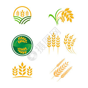 农业小麦水稻矢量图标设计产品农场农民种子插图粮食植物食物收成金子图片