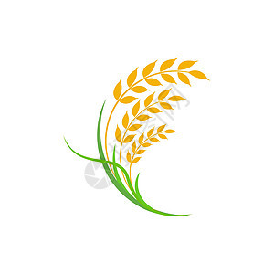 农业小麦水稻矢量图标设计标识饮食徽章种子啤酒金子营养农场早餐叶子背景图片
