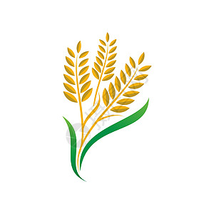 农业小麦水稻矢量图标设计叶子种子农场食物插图标志产品标签质量燕麦图片