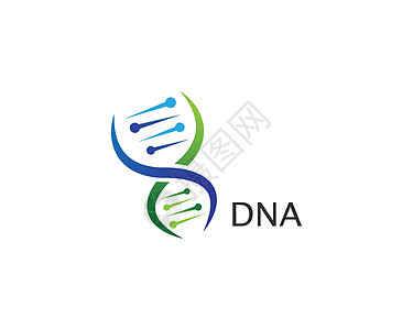 D N A 标志矢量标识化学生物科学原子生活螺旋公司克隆基因组图片