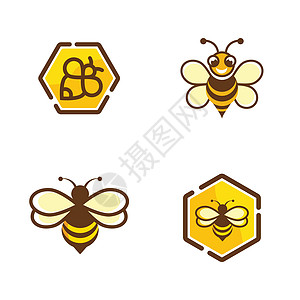 蜜蜂矢量图标插画设计动物群蜂蜜生态蜂蜡昆虫剪贴簿细胞生物橙子收藏图片