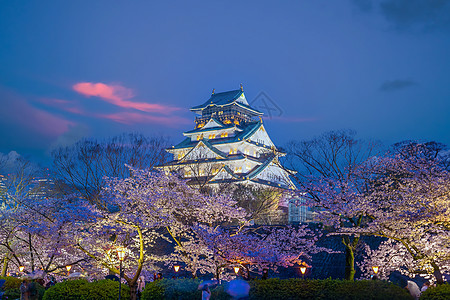 大阪樱花樱花季节在大阪城堡的暮光吸引力文化历史地标公园建筑学观光日落天际世界背景