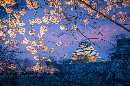大阪樱花樱花季节在大阪城堡的暮光堡垒世界建筑学旅行吸引力旅游文化花园遗产日落背景