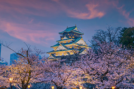 日本大阪樱花樱花季节在大阪城堡的暮光吸引力文化地标观光历史堡垒天际遗产日落花园背景