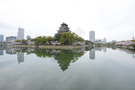 广岛和平纪念馆岛四岛花瓣城堡天空植物群旅行季节公园蓝色花园纪念馆背景