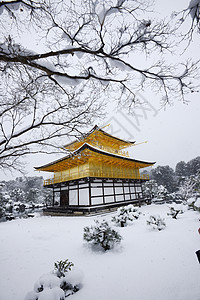 京角寺雪旅行历史寺庙天空金子旅游季节花园蓝色建筑图片