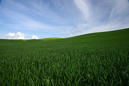 沃克顿农场山农业农村农田乡村风景植物爬坡大麦场地土地图片