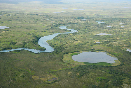 alaska 空中视图飞机旅行荒野风景绿色森林公园半岛图片