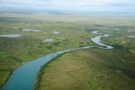 alaska 空中视图旅行半岛飞机风景公园绿色荒野森林图片