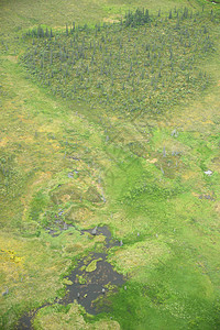 户外旅行alaska 空中视图公园飞机森林荒野风景旅行半岛绿色背景