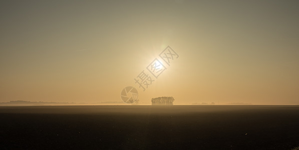 清晨在雾中的国家风景乡村农村森林草地天空薄雾季节太阳树木场地图片