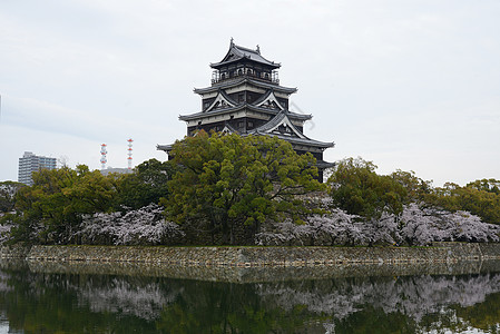 广岛和平纪念馆岛四岛城堡花园季节反射花瓣植物群蓝色纪念馆旅行天空背景