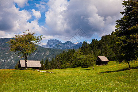 Bohinj 斯洛文尼亚地貌高清图片