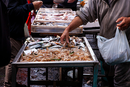 Catania市街头鱼市销售海洋地籍的销售商图片
