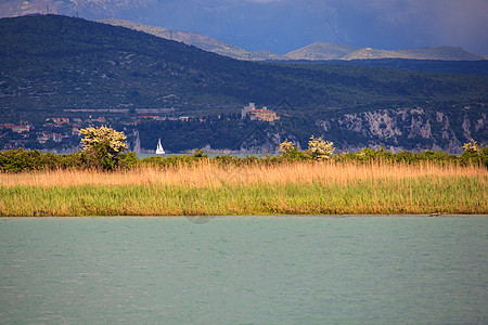 Isonzo河自然保留区植被旅游沼泽湿地帆船自然保护区图片