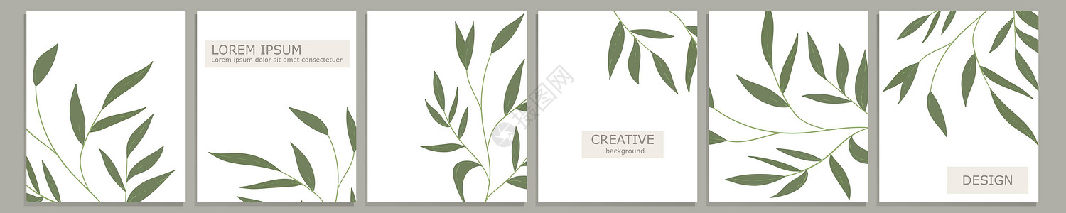 一组矢量封面笔记本设计 抽象花卉模板设计与绿色叶子在白色背景为笔记本小册子  Prin 的规划师和日记封面身份植物主义者极简标签图片