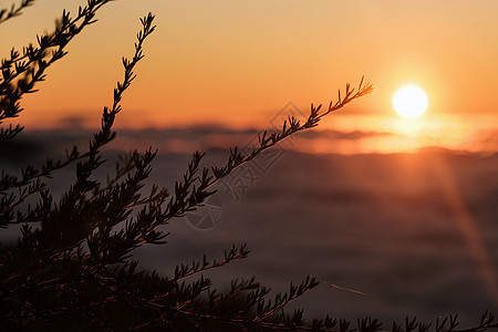 特纳里夫岛的塔伊德火山国家公园云层上方日落 加那利群岛日落极佳爬坡旅游全景旅行山脉火山太阳国家天空蓝色图片