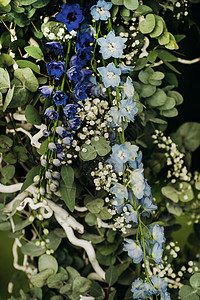 在绿草坪的街道上举行婚礼仪式 给仪式献上鲜花拱门天空森林装饰报名背景文化月亮婚姻组织风格背景图片