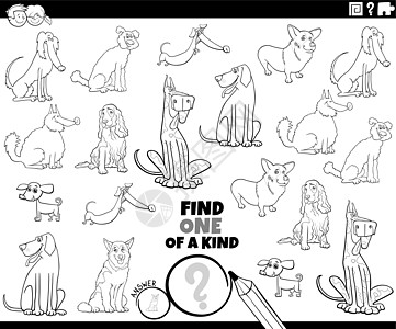与纯种狗着色书页的同类任务之一宠物教育消遣资产活动孩子们幼儿园动物游戏解决方案图片