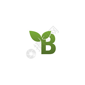 带绿叶符号日志的字母 B生物网络收藏艺术标签插图叶子生态标识坡度背景图片