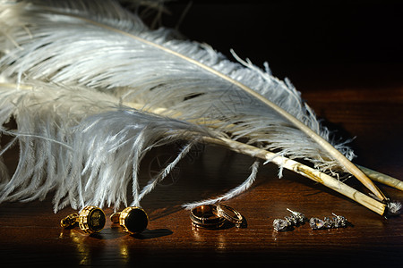 两个结婚戒指在白羽毛中 爱的概念是金子蕾丝宝石明信片蜜月夫妻誓言庆典仪式邀请函图片