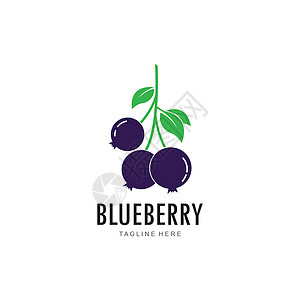 蓝莓标志矢量模板收藏美食收成水果村庄标识插图叶子市场花园图片