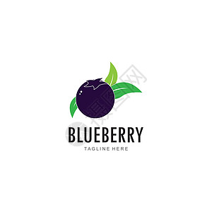 蓝莓标志矢量模板艺术收藏菜单收成饮食维生素插图花园叶子市场背景图片